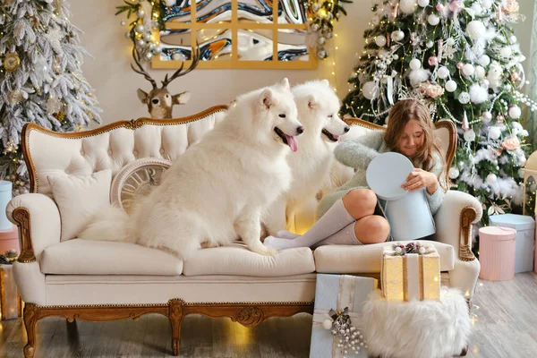 Kleines Nettes Mädchen Sitzt Auf Dem Sofa Mit Zwei Samoyischen — Stockfoto