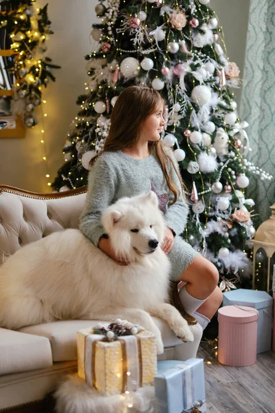 Kleines Süßes Mädchen Sitzt Auf Dem Sofa Mit Samojanischem Hund — Stockfoto