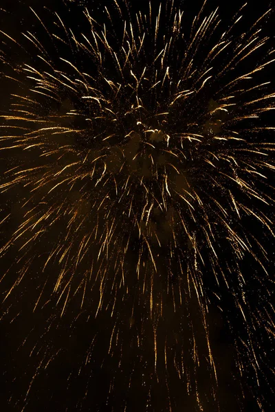 Prachtig Vuurwerk Verlicht Hemel Tijdens Het Nachtelijke Feest — Stockfoto