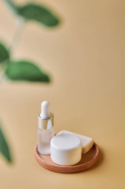 SPA kompozisyonu. Kopyalama alanı kozmetik şişeleri ve tüpleri. Yüz ve vücut bakımı konsepti, krem şişeleri, losyonlar, yeşil yapraklı serumlar. Seçici odaklanma, soluk Dof, kapat.