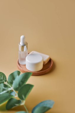 SPA kompozisyonu. Kopyalama alanı kozmetik şişeleri ve tüpleri. Yüz ve vücut bakımı konsepti, krem şişeleri, losyonlar, yeşil yapraklı serumlar. Seçici odaklanma, soluk Dof, kapat.