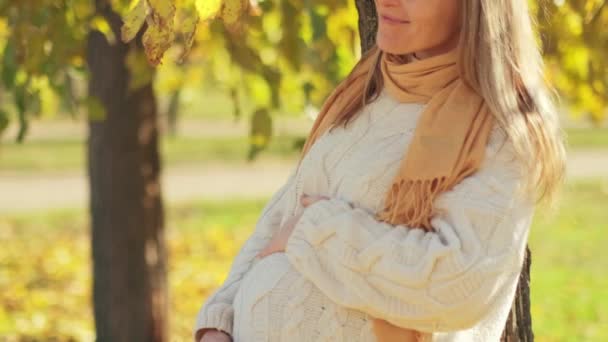 Attraktiv Ung Gravid Kvinna Med Löv Som Håller Magen Höstparken Stockvideo