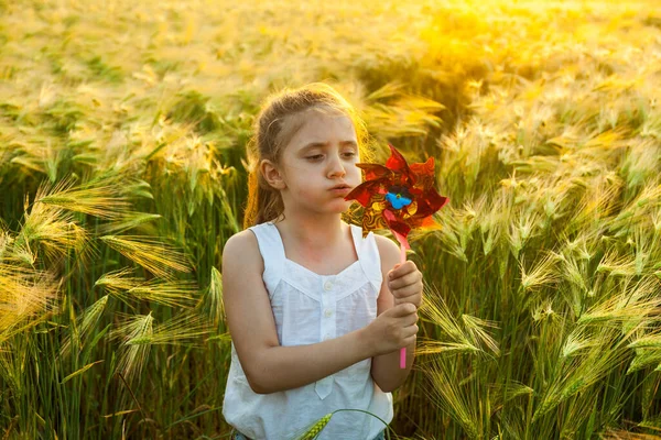 Little Girl Playing Meadow Sun Windmill Her Hands Child Holding — Stock Photo, Image
