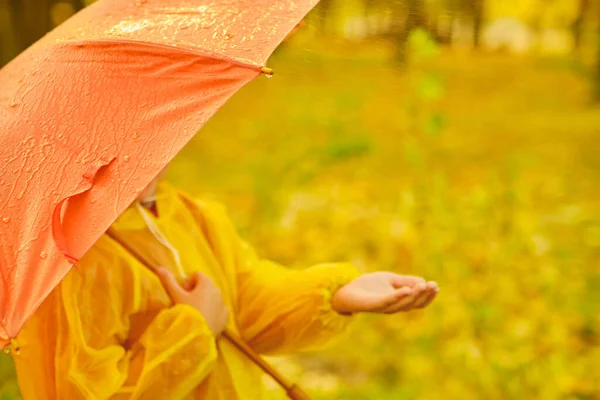 Childrens Hand Rain Drops Falling Orange Umbrella Autumn Weather Concept — Stock Photo, Image