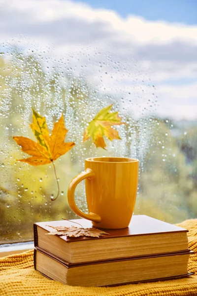 season, leisure and objects concept - red cup of tea, books, autumn leaves and candle on window sill at home