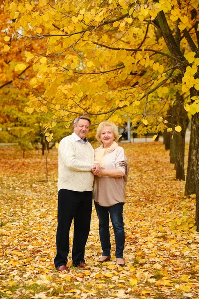 Personas Mayores Felices Activas Caminando Parque Otoño — Foto de Stock