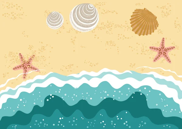 Stranden med skal och vågor — Stock vektor