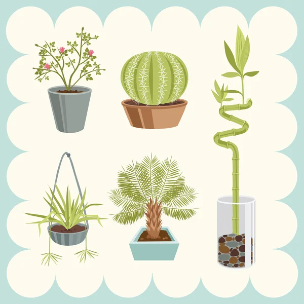 Illustration of Home Plants — Stock Vector