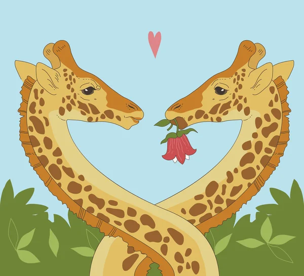 Giraffe Couple — Stock Vector