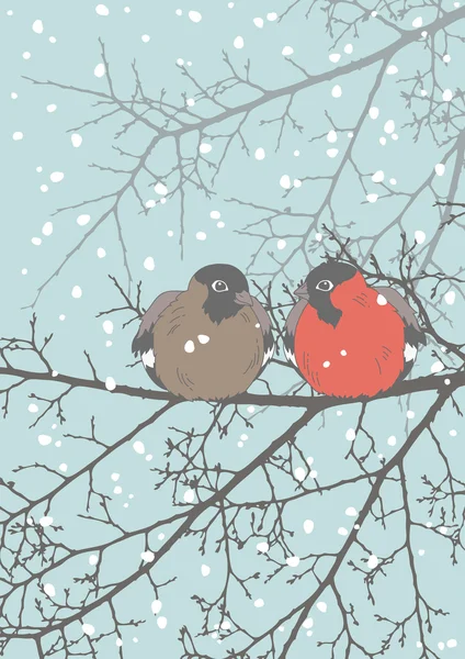 Două Bullfinches — Vector de stoc