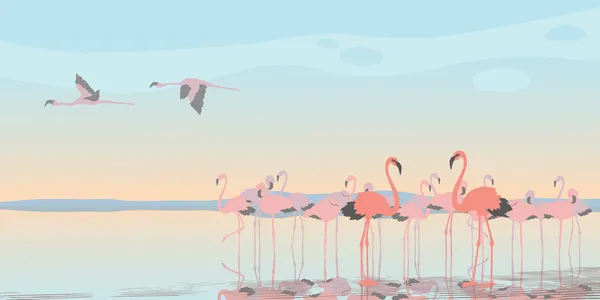 Rózsaszín flamingók — Stock Vector