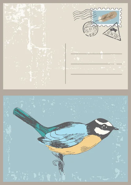 Oiseau sur carte postale — Image vectorielle