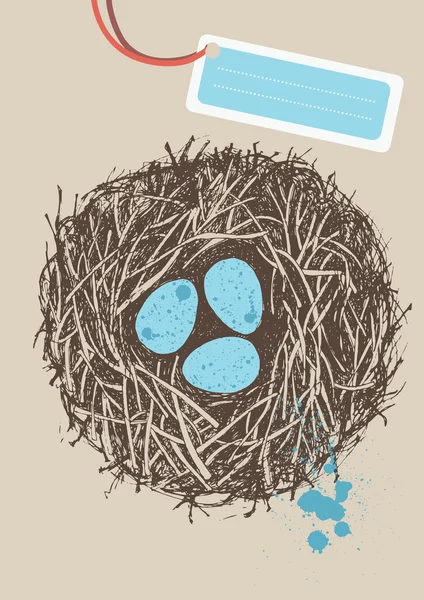 Eggs in Nest — Stock Vector