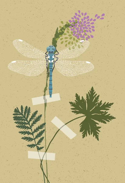 Blue Dragonfly and Plants — Stock Vector