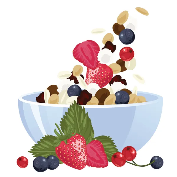 Muesli met bessen — Stockvector