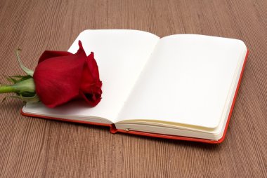 açık defter ile kırmızı gül