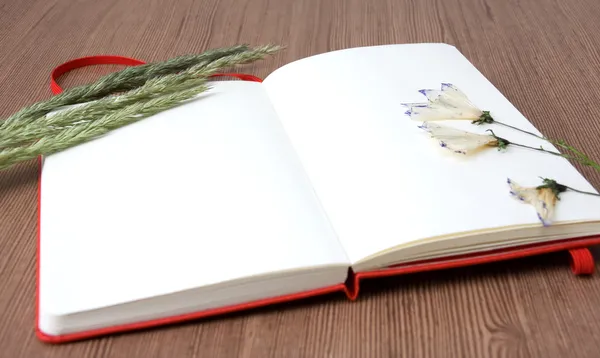 Offenes Notizbuch mit trockenen Blumen — Stockfoto