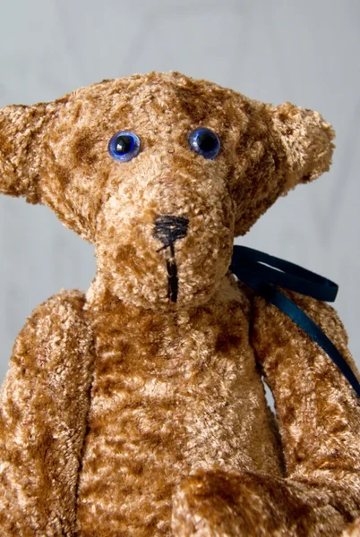 Retrato de lindo oso de peluche marrón — Foto de Stock