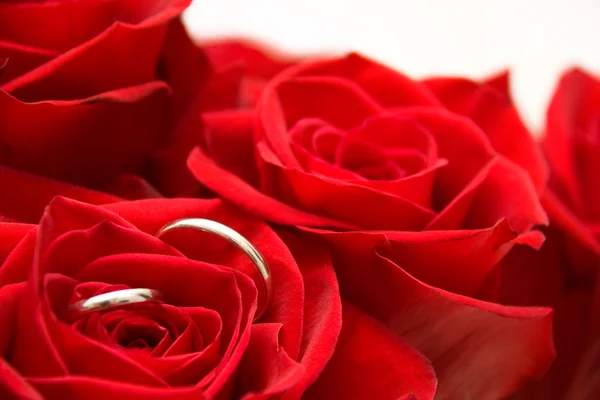 लाल गुलाब के अंदर सोने की अंगूठी — स्टॉक फ़ोटो, इमेज