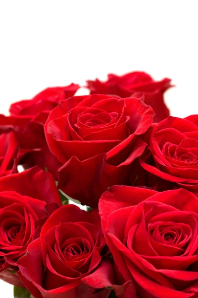 Bunch of Red Roses — Stock Photo, Image