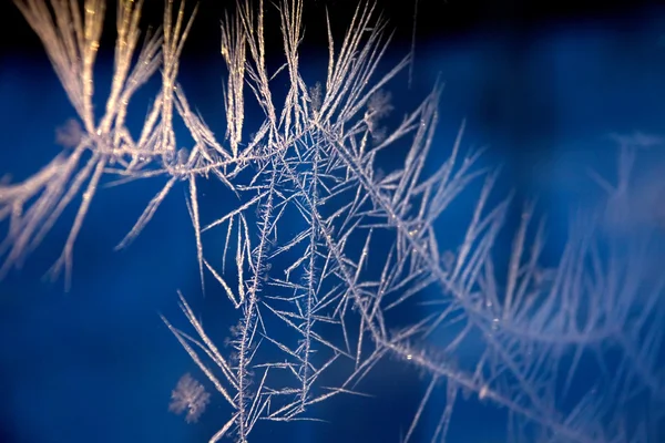 Frosty Pattern — Stock Photo, Image
