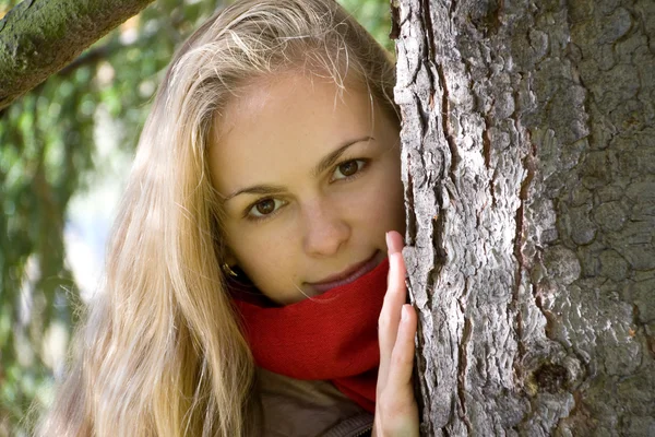 Fille espionnant à travers l'arbre — Photo