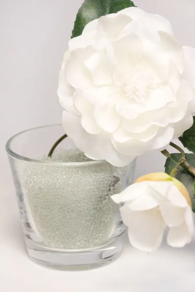 Flor branca em vidro — Fotografia de Stock