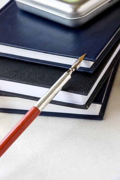 Книги и ручка — стоковое фото