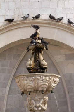 Güvercinler üzerinde eski çeşme