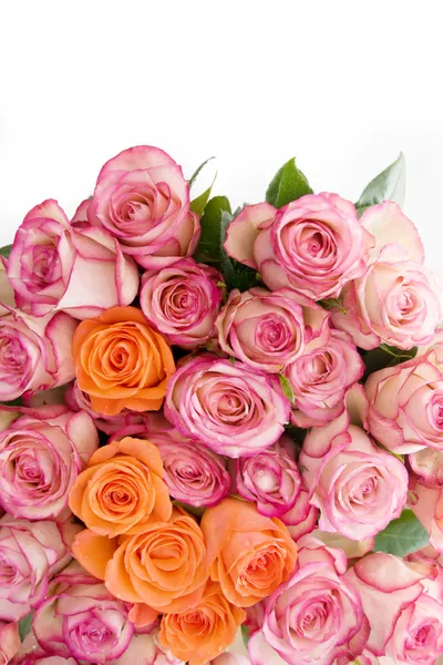 一束粉红色的玫瑰 — 图库照片