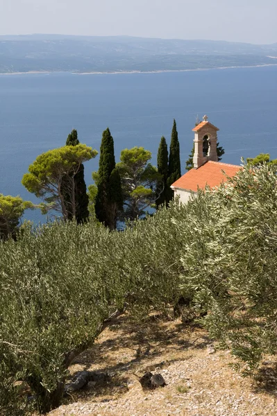 Piccola Chiesa e oliveto — Foto Stock