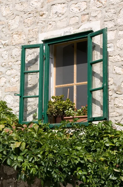 Overgrown Window — Stock Photo, Image