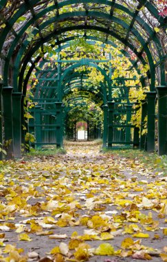 sonbahar pergola