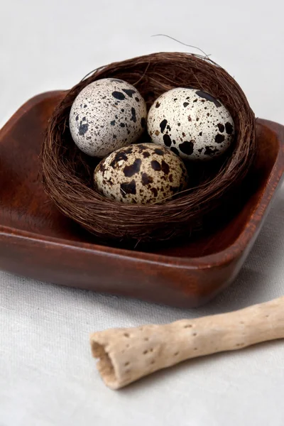 Nest in Wooden Plate — Stock Photo, Image