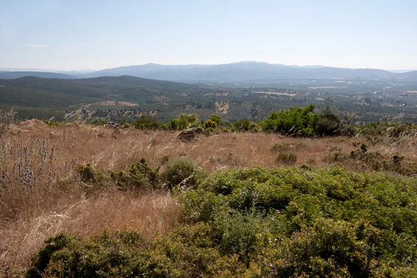 Vista sulle montagne — Foto Stock