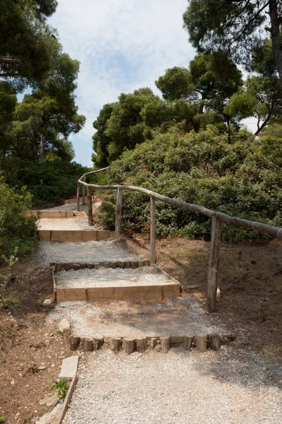 Park adımlar — Stok fotoğraf