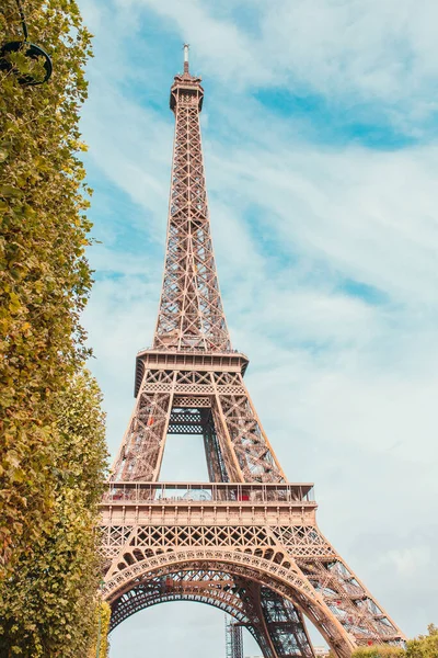 Eiffelturm Senkrecht Über Hecke Geschossen Kopierraum — Stockfoto