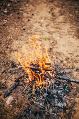 Dünyadaki orman şenlik ateşi - yanan dalların ve sopaların parlak kırmızı-sarı alevi - vahşi doğada hayatta kalmak