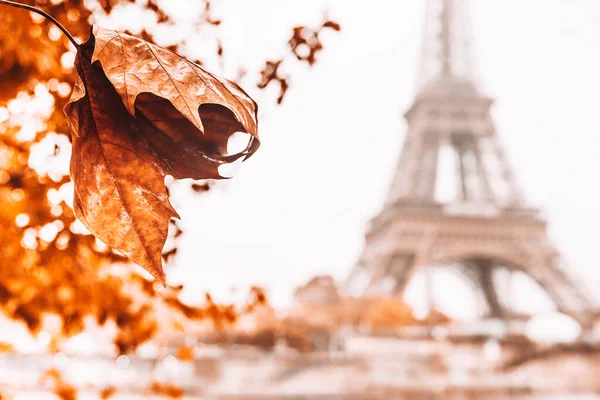 エッフェル塔を背景に黄色のカエデが落ちた秋のパリ ロマンチックな場所で悲しみと憂うつな ロマンスの街への旅行 — ストック写真