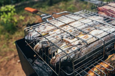 Büyük bir arkadaş grubu için BBQ balığı ve et. Arka bahçede dostça bir toplantı.