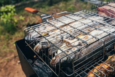Büyük bir arkadaş grubu için BBQ balığı ve et. Arka bahçede dostça bir toplantı.