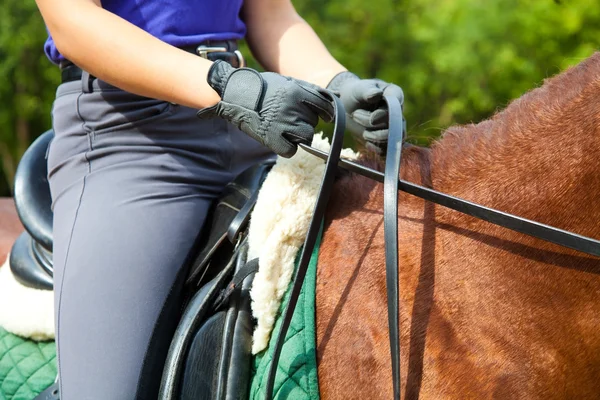 Dressuurpaard — Stockfoto