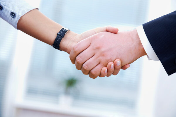 Business handshake