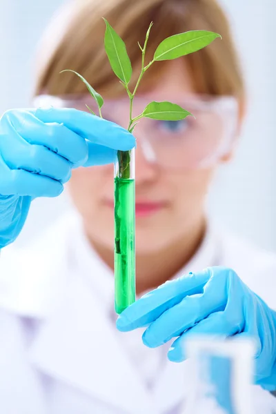 Biotechnology — Stock Photo, Image