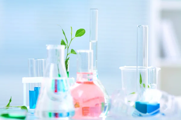 Chemical laboratory glassware — Stock Photo, Image