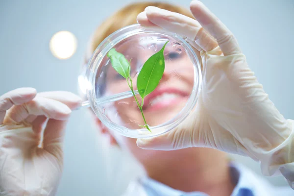 Biotecnologia — Foto Stock