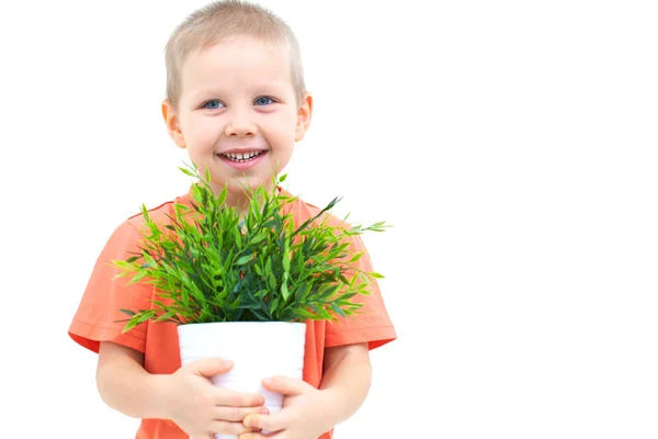 Bonito menino e planta — Fotografia de Stock