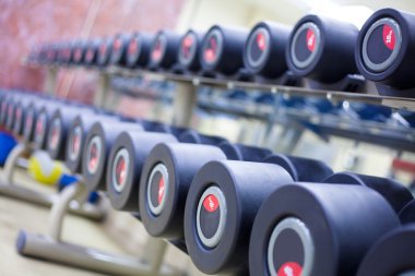 ağırlık antrenmanı ekipmanı