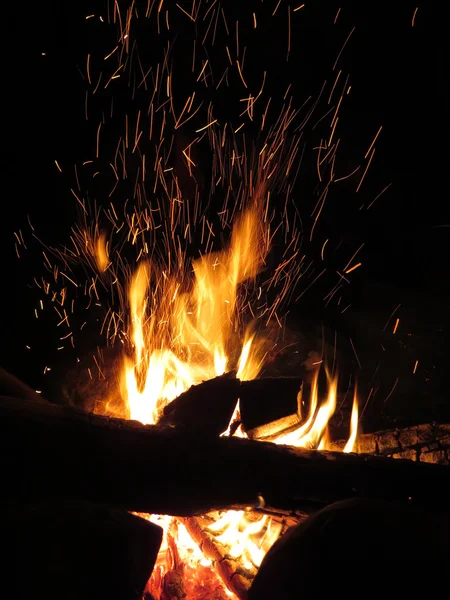 Flamme de feu avec des veaux dans la nuit — Photo