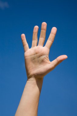 Palm yukarı doğru